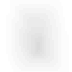 Kõrvarõngad | LUNA_SILVER