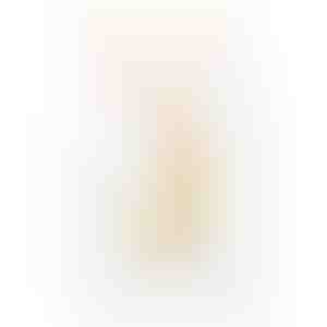 Kõrvarõngad | VIVIANA_GOLD