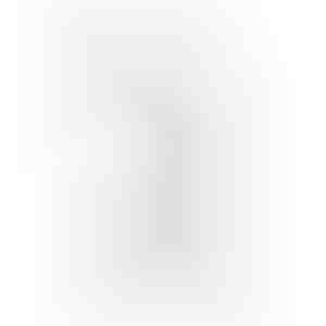 Kõrvarõngad | VIVIANA_SILVER