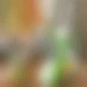 Mitmeotstarbeline hakklihamasin | SLICEWISE