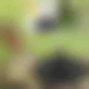 Päikepatareil töötav purskkaev | FONTANA