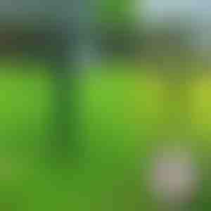 Ultraheli loomapeletaja | SONICFIELD