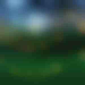 Päikesepatareidega LED-tuled (5 m) | SOLSTICE