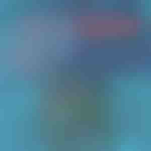 Kerged ja kiiresti kuivavad ujumisriided meestele | TOGGIES