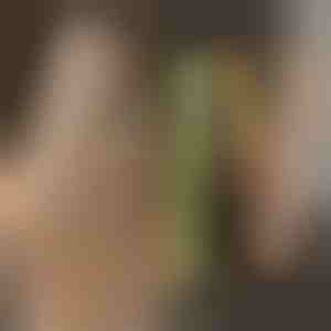 TWISTLINE sirgendaja & lokitangid