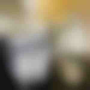 Kokkupandav köögi prügikast | FLEXBIN