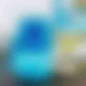 Jääpurusti | LEDKO