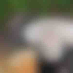 Säravad jõulupallid (3m) | XMASBALL