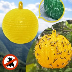 Kleepuv kärbsepüünis (6tk) | BUGIORB