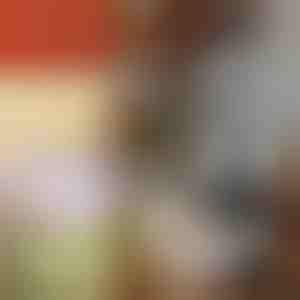 Käsitsi kasutatav köögiviljaviilutaja | CHOPSTER