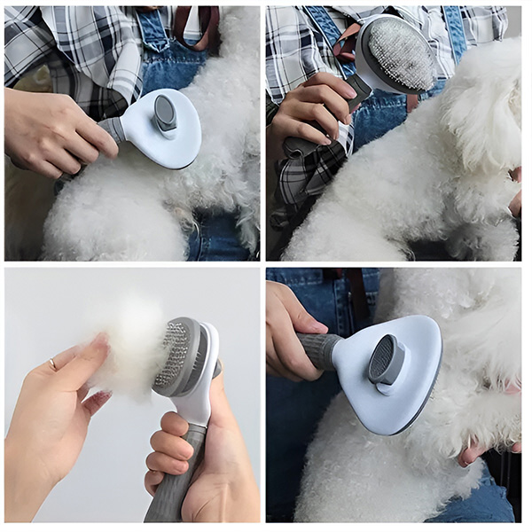PETBRUSHY