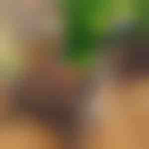 Kaasaskantav kokkupandav grill | PORTOGRILL