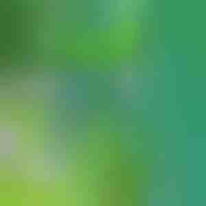 Umbrohu eemaldaja | SPINOUT