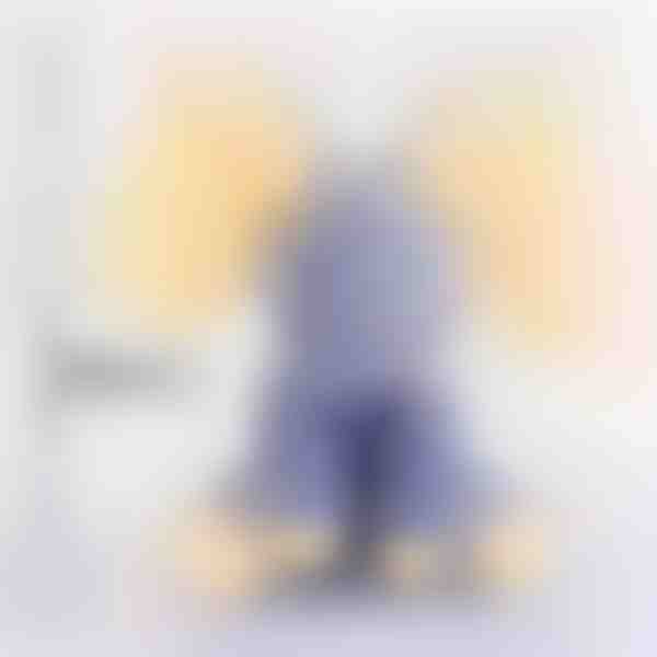 FLAPY29229