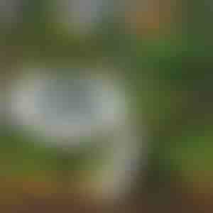 Põrandavalgustid maagilise õueala jaoks | LUMIGARD