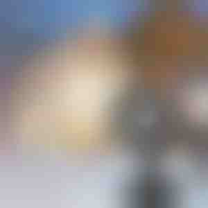 Lumehelbeke LED-projektor | SNOWLAMP