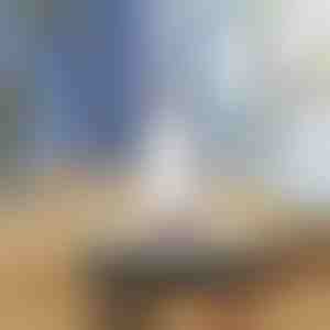 Minimop, mis väänab end ise välja | HANDYMOP