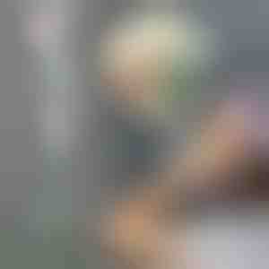 Reguleeritav fööni käepide | FENLUSK