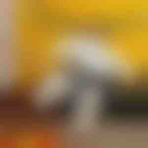 Täispuhutav sumo kostüüm | SUMOCOS