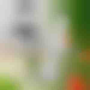 Lisa terad MULTIMINCER | MULTIBLADE