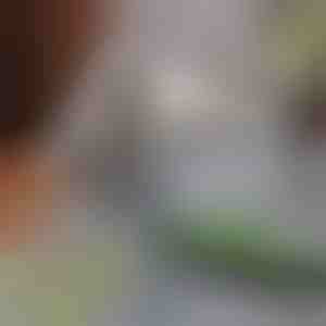 Lemmikloomade karvade eemaldamise mopp | PAWMOP