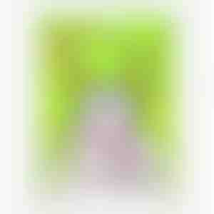 Näomask | SWEETPANDA