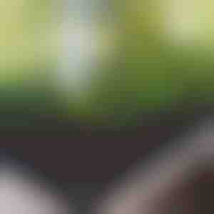 Kangast tõstetud aiavoodi | FLORAISE