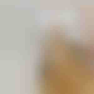 Laetav pihustatav auruhari lemmikloomade karvade eemaldamiseks | GROOMSY