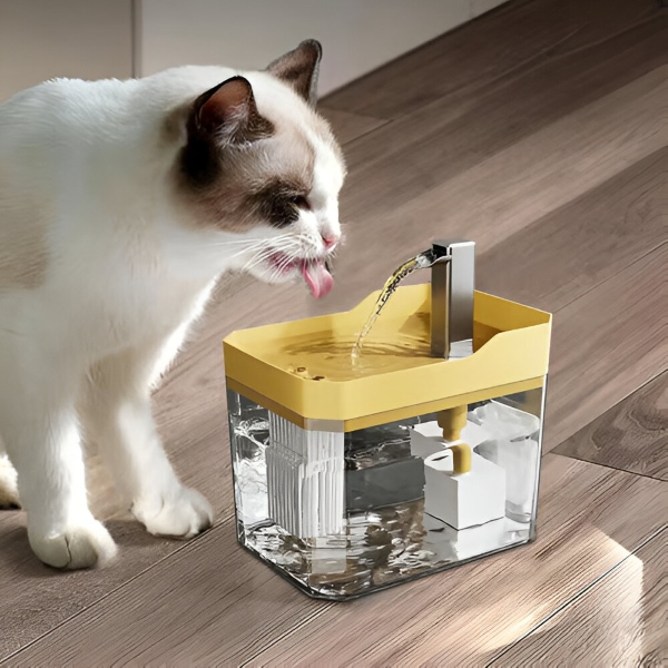 PETSPRINGLE21600__a1c16caf