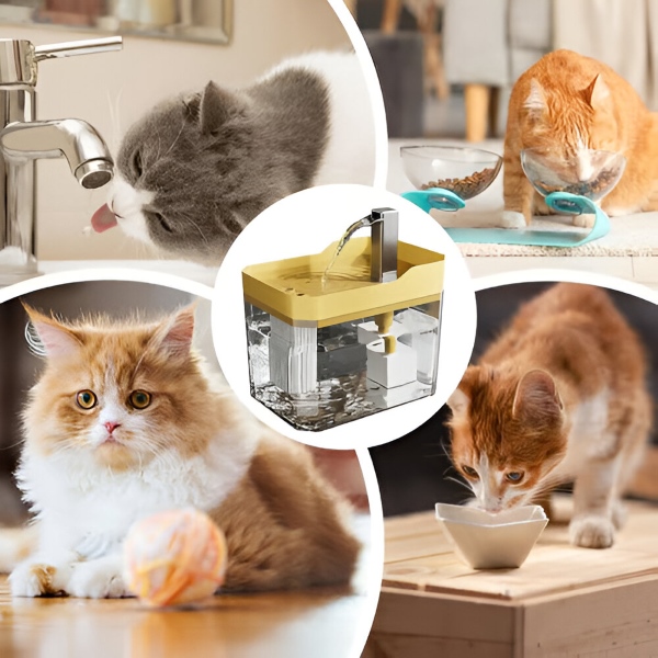 PETSPRINGLE21900__c9ad5645