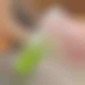 Pintsel õli jaoks | BOTTLEBRUSH