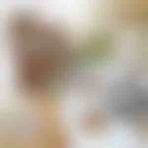 5+5 TASUTA söödapakki | BUGIBAIT