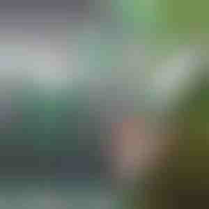 Professionaalsed aiakäärid | CHOPIX