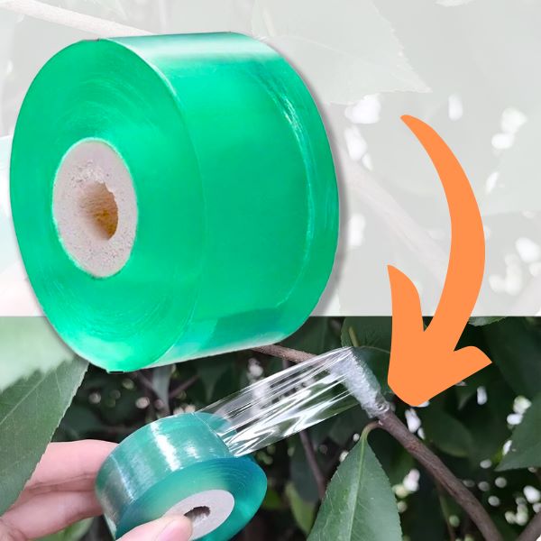 MASTERTAPE2