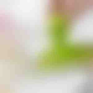 Küüslaugu ja ingveri riivimine | MINIGRINDER