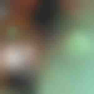 3-in-1 sissetõmmatavad laadimiskaablid | MULTICABLE