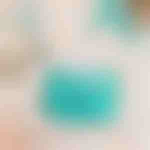 Lemmikloomade vannitamishari | PETBRUSH