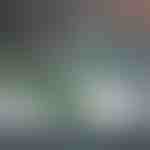 Peen poleerimispasta WOOLSHINE jaoks | SHINEPASTE