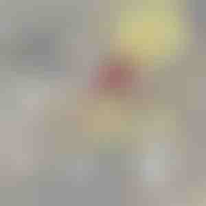 Lisafiltr PETSPRINGLE jaoks | SPRINGLEFIL