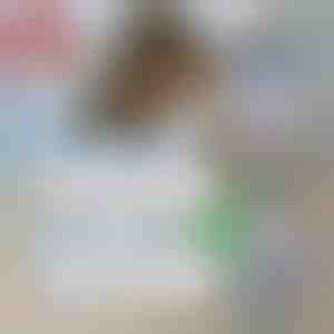 3+3 TASUTA ekstra ühekordsed kotid | TREVYEXTRABAGS