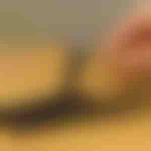 10-osaline kruvi eemaldamise komplekt kahjustatud kruvidele | SCREWX