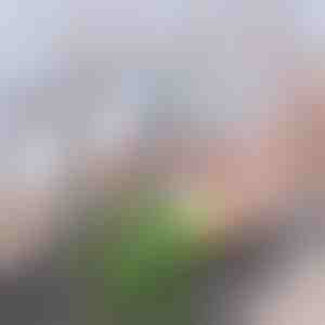 Täiustatud süsinikust kraanifilter | CHARFILTER