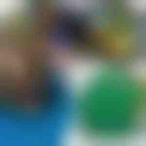 Vildist tegevusraamat | DINOBOOK