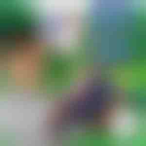 10+10 TASUTA vahunoole BLASTKIDile | F2OAMBULLETS