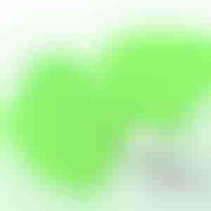 2× lisapuhastuslappi MICROLINKA jaoks