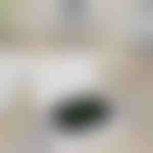 Traadita laadija Apple Watchi jaoks | WATCHBANK