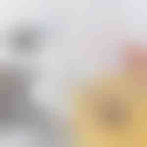 Painduv hari ummistunud äravooludele ja torudele | DRAINOVA