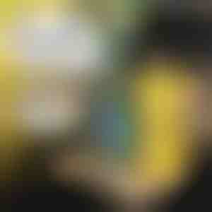 Lapse autotaldrik | MUNCHI 1+1 TASUTA