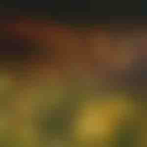 Aia päikesepatareiga valgustid (soe valgus) | SOMPEX