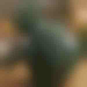 Soojendusega shiatsu-massažöör | MASSORA